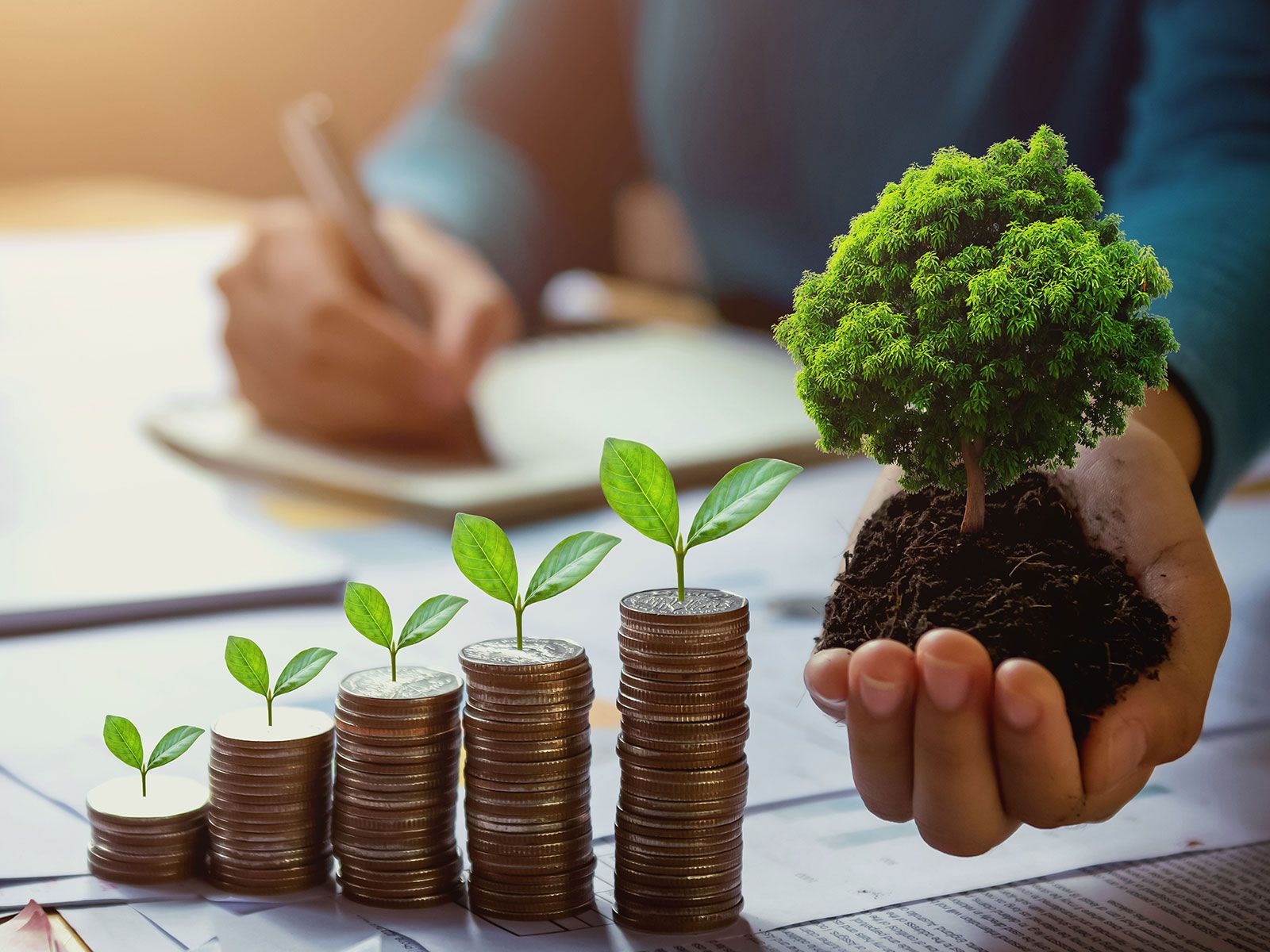 Five stacks of coins from which a leaf is growing, and a hand holding a tree.