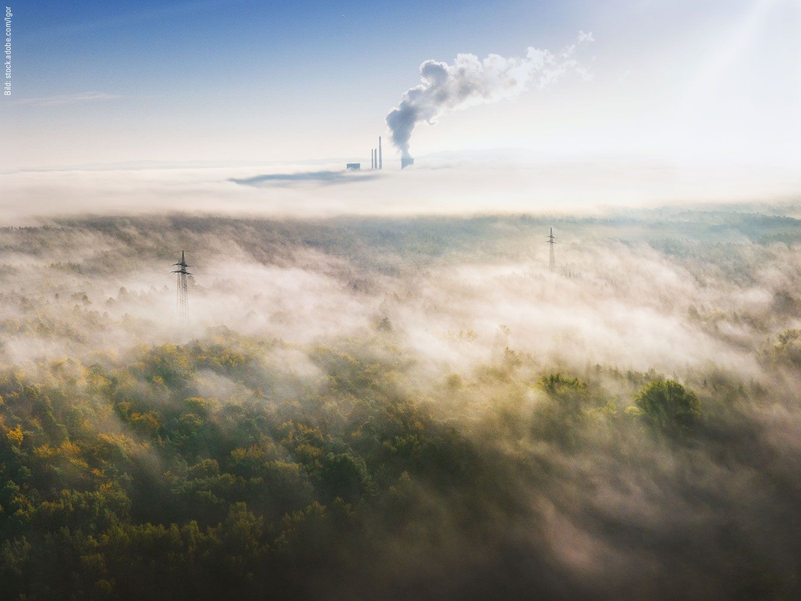 An aerial view of an autumn forest landscape shrouded in dense morning fog, with power lines emerging from the mist, while in the background the silhouette of a power plant with a smoking chimney is visible beneath a bright sky.