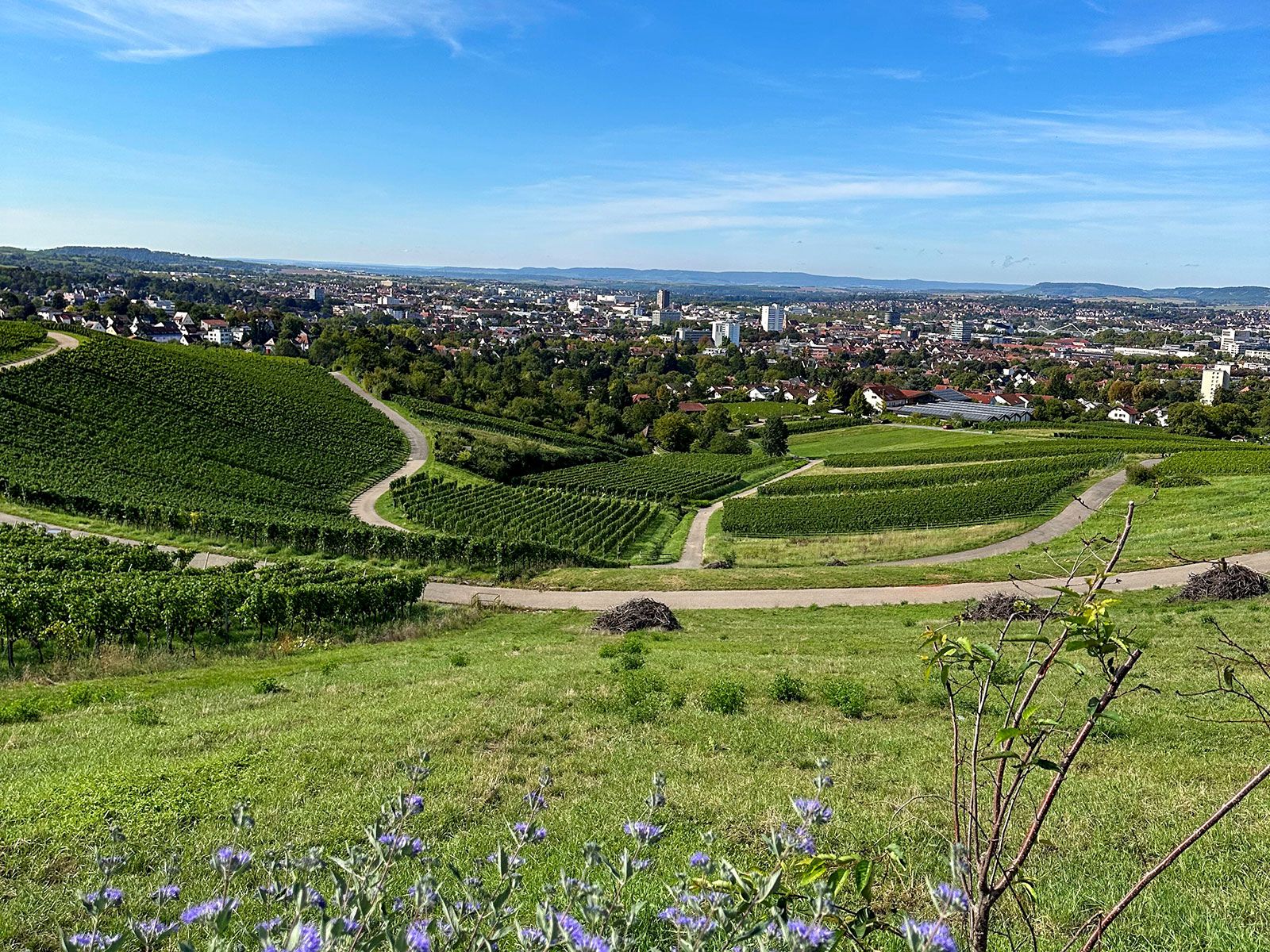 Wide panoramic view over green vineyards in the foreground toward the city of Heilbronn under a clear blue sky.
