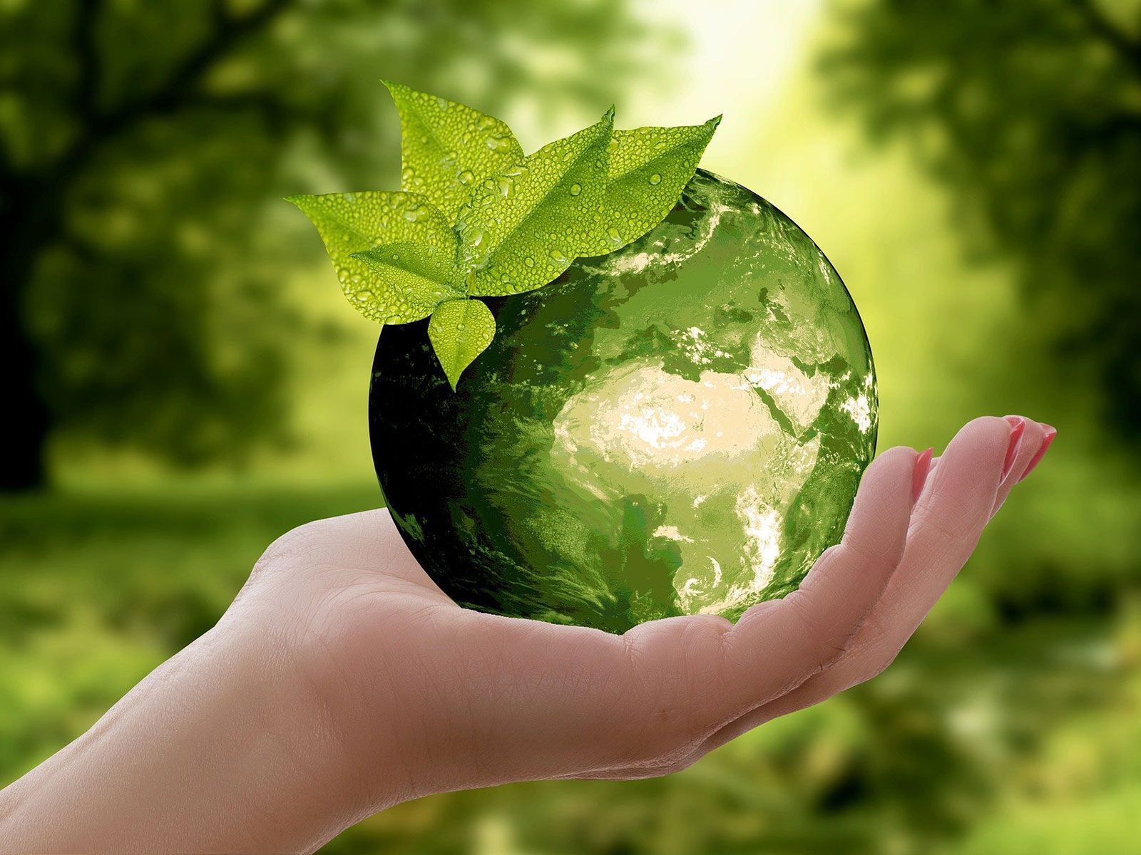 A person holding a globe with a leaf in their hand.